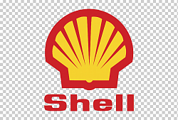550054286 Shell Синтетическое моторное масло Helix HX8 Professional AG 5W-30 SN GF-5 (1л)