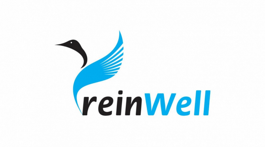 Новинка линейки автохимии ReinWell